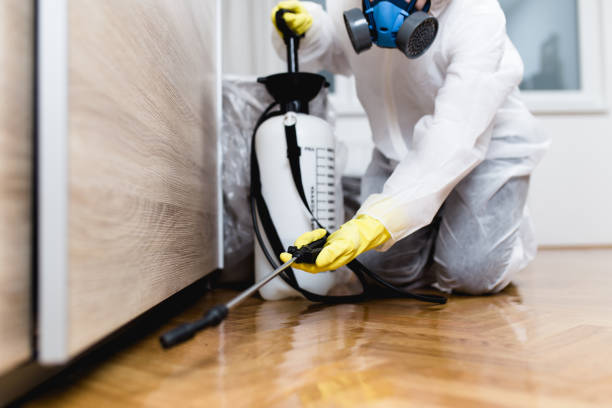 Best Pest Prevention Services  in Lake Shore, MD