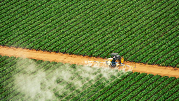 Best Pest Removal Services  in Lake Shore, MD